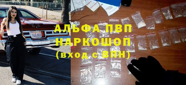 ГАЛЛЮЦИНОГЕННЫЕ ГРИБЫ Кодинск