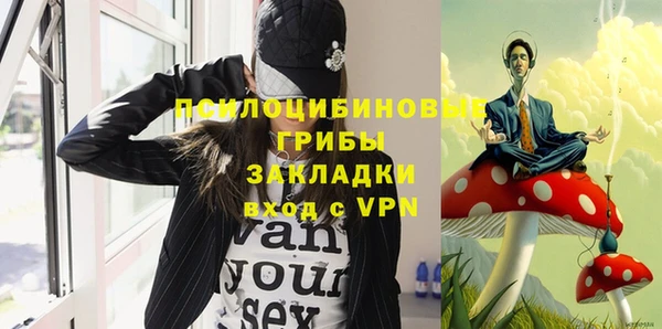 ГАЛЛЮЦИНОГЕННЫЕ ГРИБЫ Кодинск