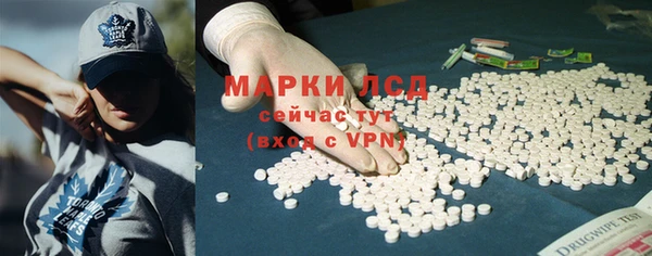 ГАЛЛЮЦИНОГЕННЫЕ ГРИБЫ Кодинск